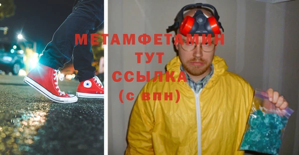 сатива Зеленокумск