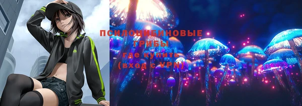 сатива Зеленокумск