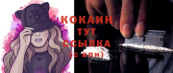 сатива Зеленокумск