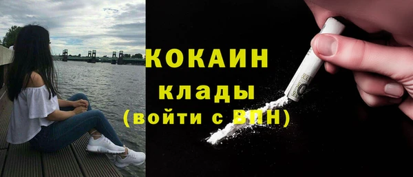 сатива Зеленокумск