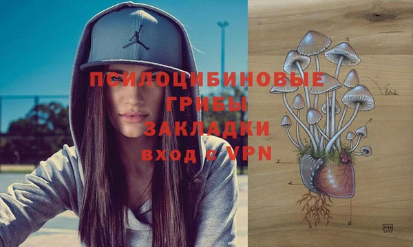 сатива Зеленокумск