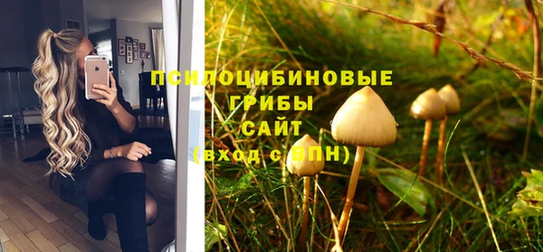 PSILOCYBIN Заволжск